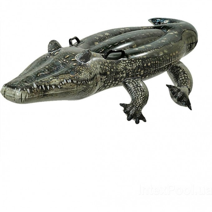 Игрушка для плавания INTEX «Аллигатор», 170х86 см, от 3 лет 57551